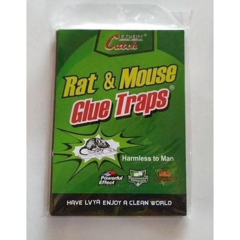 MOUSE & RAT GLUE TRAPS_PELEKAT TIKUS_PERANGKAP TIKUS | Shopee Malaysia