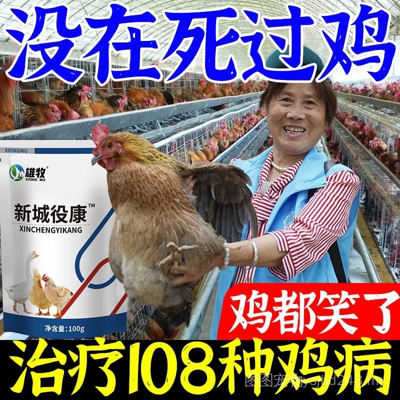 New City Battle Kang Chicken Duck Goose Birds Use Chicken Cold Pulling ...