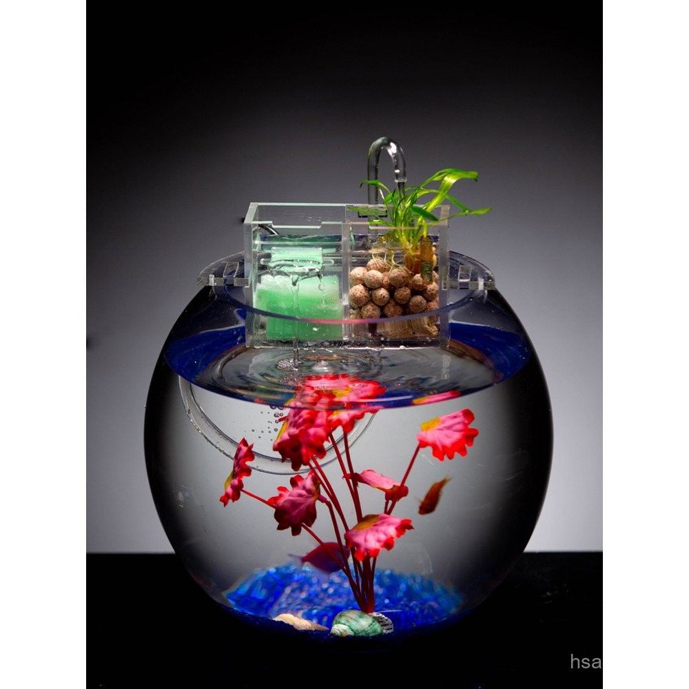 Curated visual reference: Picture Idea: Exported To Germany Thickened Glass Fish Tank Round Large Small