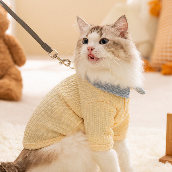 baju kucing jantan baju kucing baju kucing betina Autumn Winter Cat ...