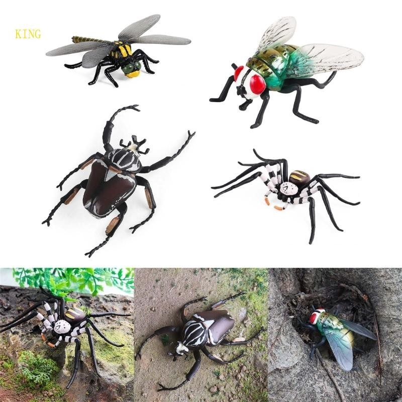 （High discounts）royalking.my Spiders Insects Model Realistic Bugs Gogga ...