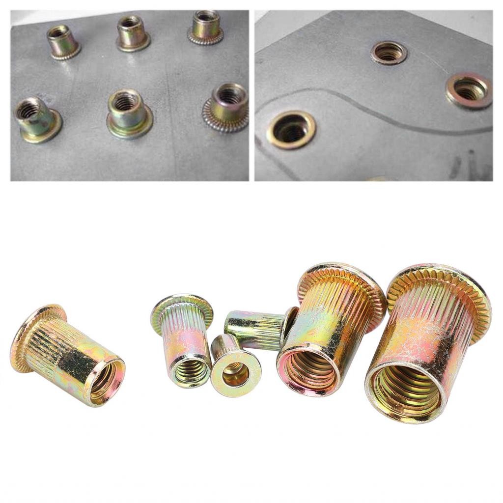 Rrianfo 200Pcs Rivet Nut Set Metric Flattop Vertical Grain Pull ...