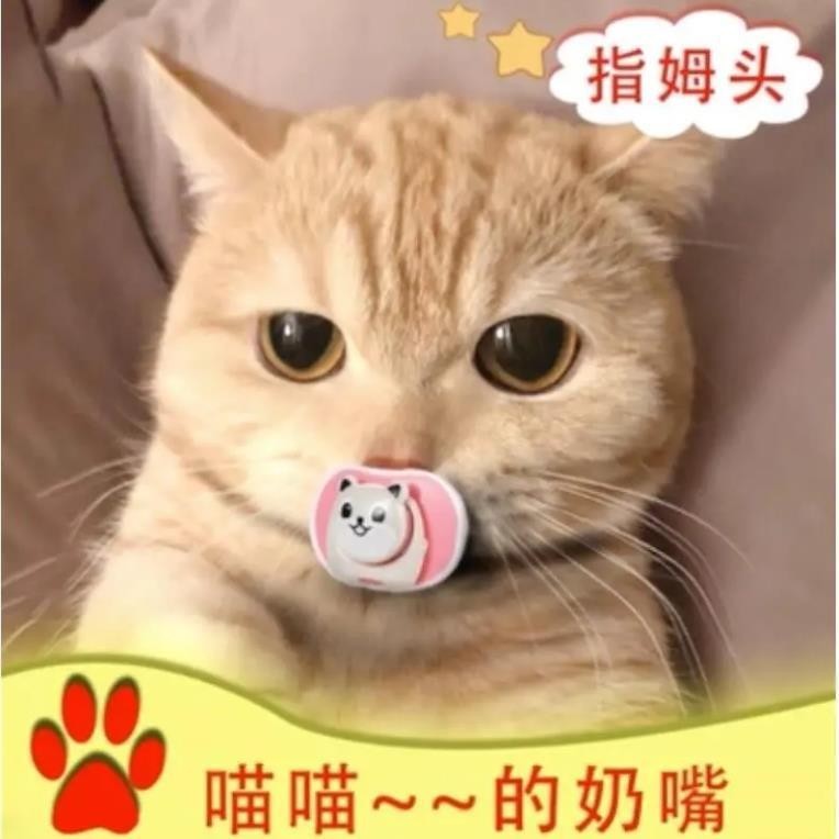 [Ready Stock] Cat Dedicated Pacifier Pet Cat Pacifier Handy Tool ...