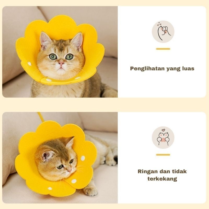 Cat Collar Cone Pet Elizabeth Collar Cat Neck Colar Kolar Kucing Sakit ...
