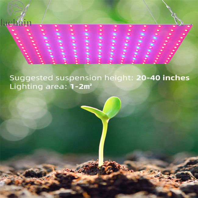 Megasale!! 81led Led Grow Light Full Spectrum Uv Plant Growing Lamp For ...