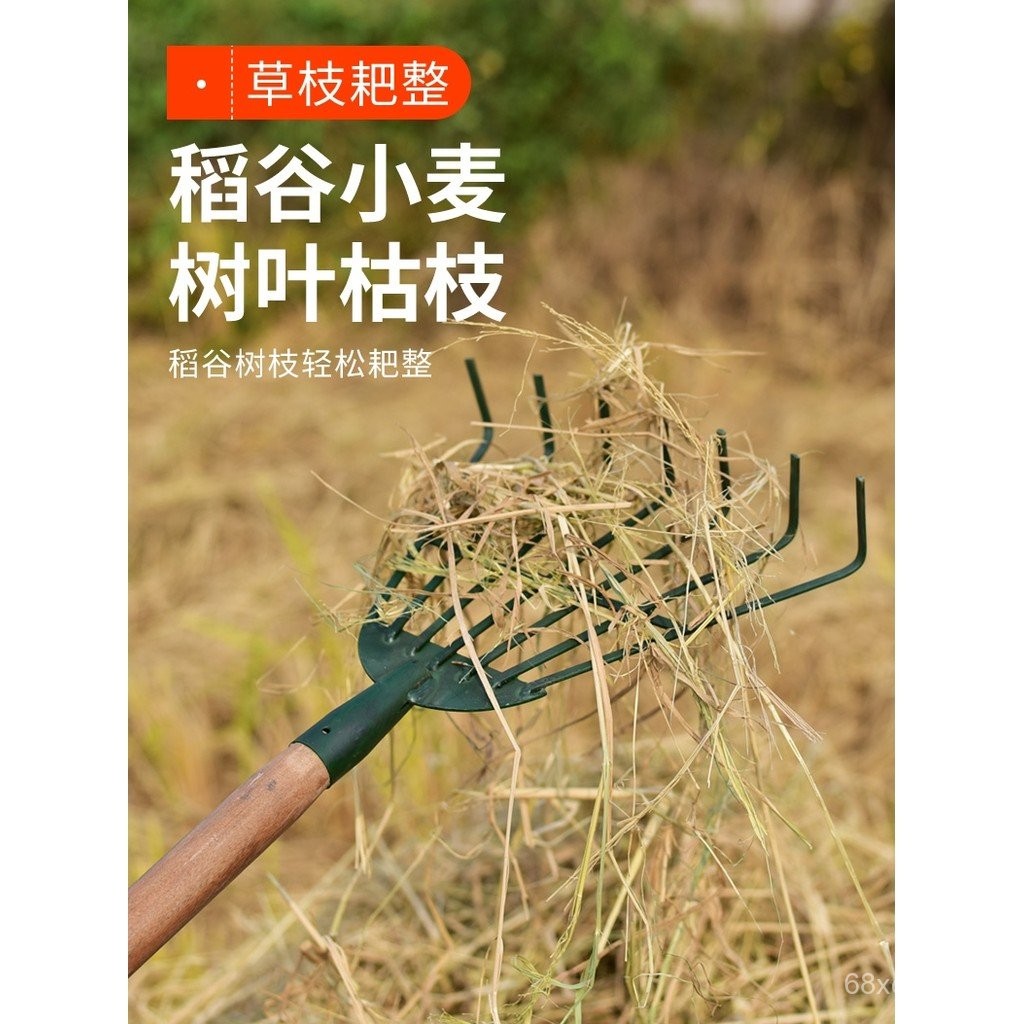 Rake Rumput Isi Rumah Rake Besi Rake Keluli Alat Pertanian Alat ...