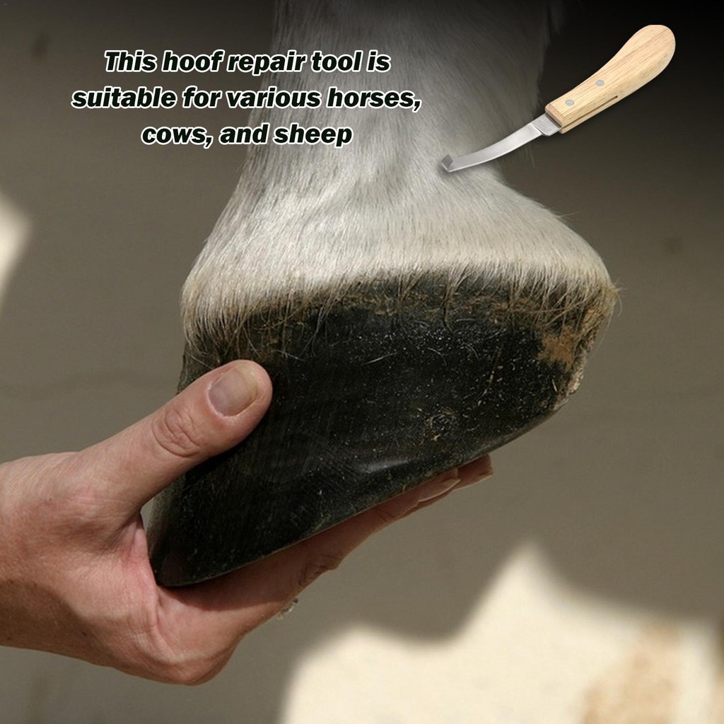Horse Sheep Goat Cow Hooves Trimmer Hoof Trimmers with Sharp Edges ...
