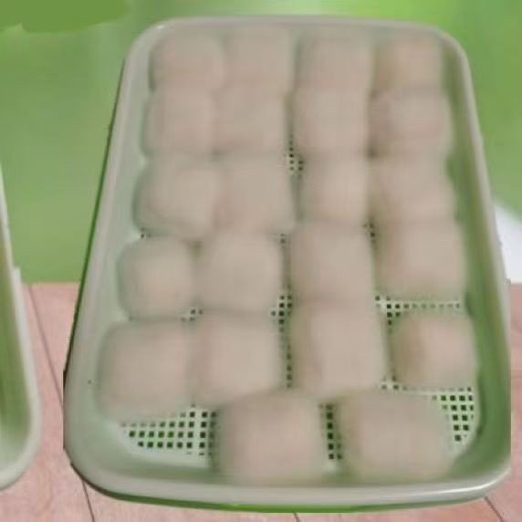 Fermentation Dedicated Plate Long-Haired Molded Bean Curd Koji Fur Mold ...