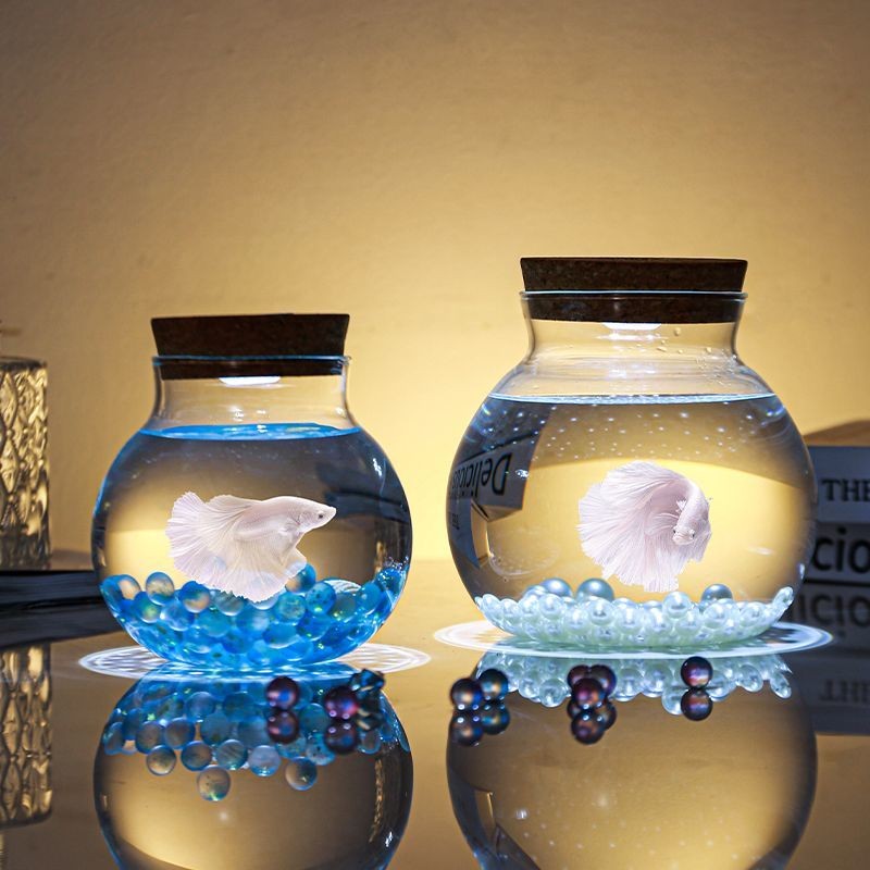 现货！发光斗鱼缸迷你桌面缸微景观造景水族箱办公创意透明玻璃缸生态瓶Luminous bucket fish tank mini desktop ...