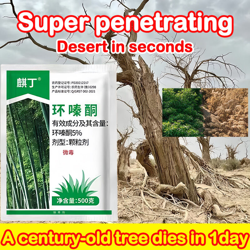 24H Tree Killer MAX - Professional Hexazinone Herbicide | Kills Large ...