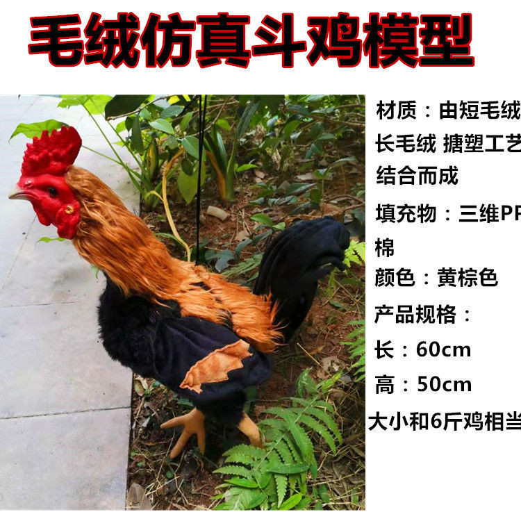 Fighting Chicken Supplies Fighting Chicken Model Fur Chicken Model ...