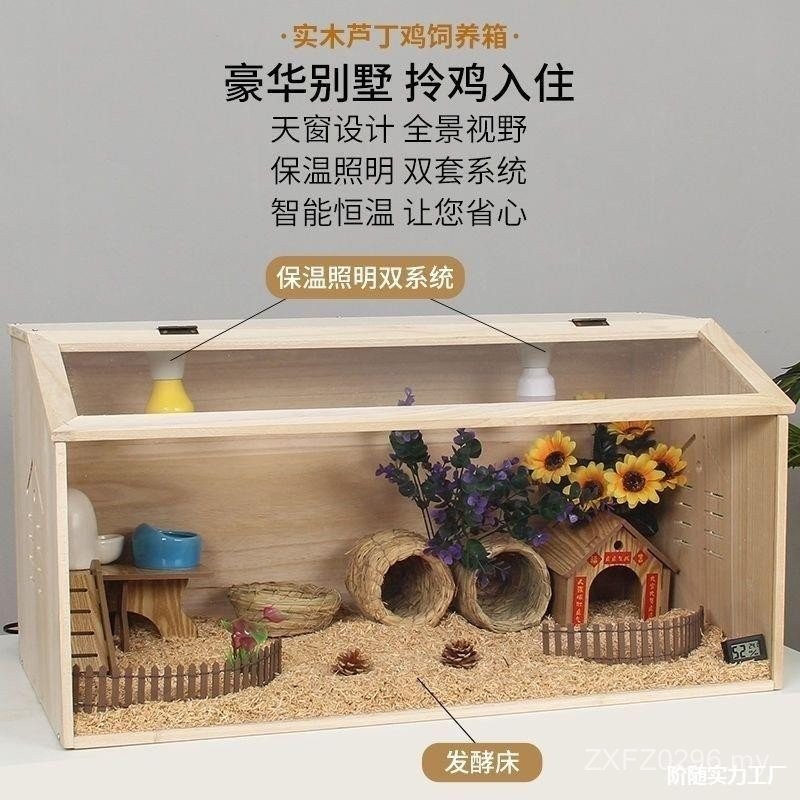 A Whole Set of Breeding Pets Ludding Chicken Transparent Breeding Box ...
