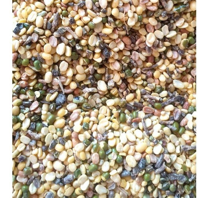 5KG cereal for fighting chickens, cereals for chickens, cereals for ...