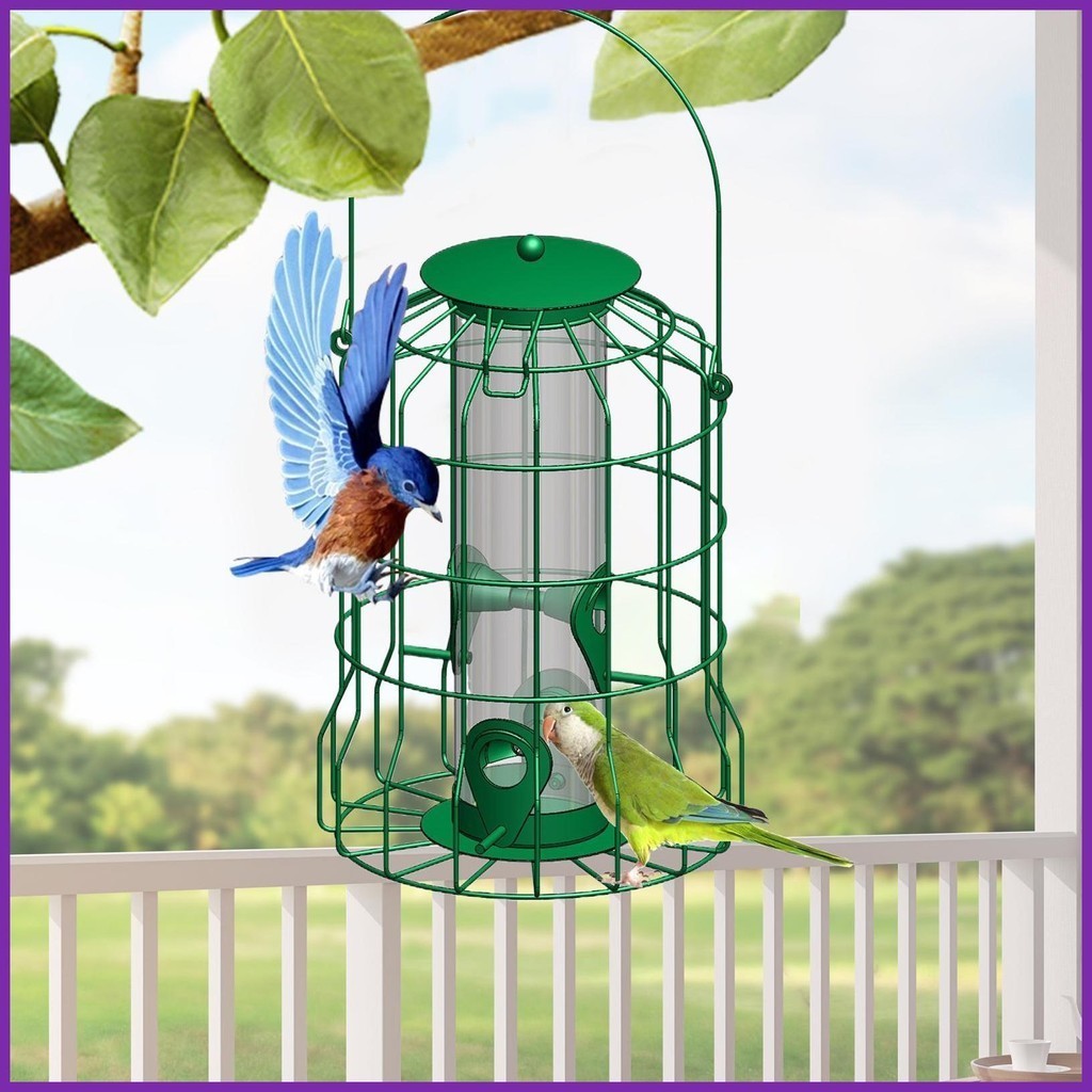Squirrel Proof Bird Feeders Squirrel Proof Hummingbird Feeder Grackle