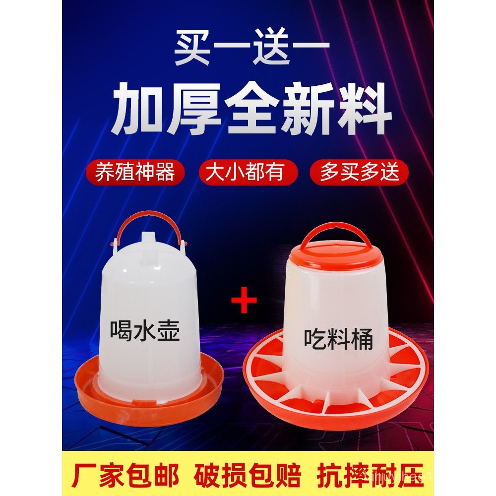 Chicken Feeding Tank Chicken Feeding Handy Tool Pigeon Feed Chicken ...
