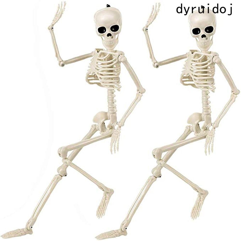 DYRUIDOJ Human Skeleton Model Halloween Children Gift Decoration ...