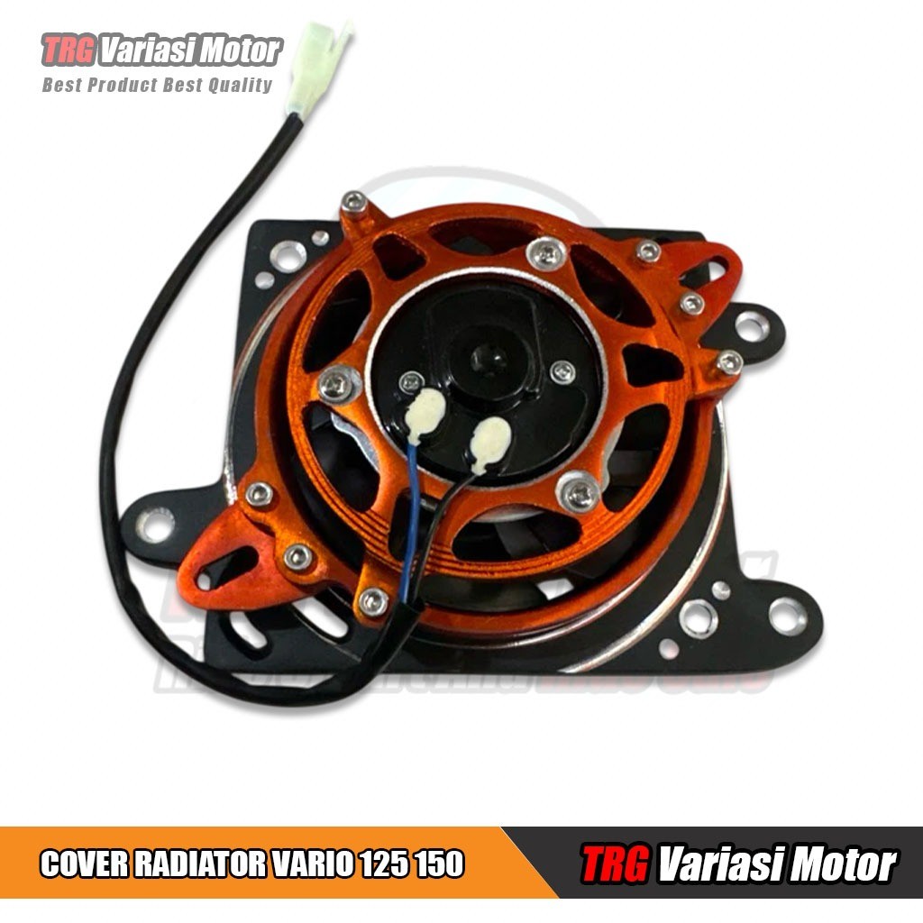 Vario 125 Radiator Cover Vario 125 Radiator Cover Extra Fan PNP Vario ...