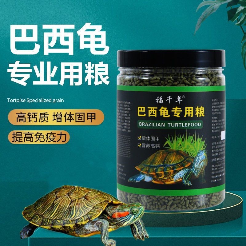 Fu Millennium Brazilian turtle special turtle Fu Millennium Brazilian ...