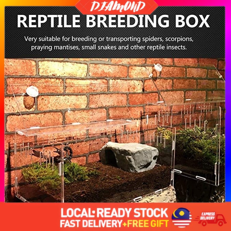 Fresh Look at Reptile Acrylic Feeding Box Breeding Habitat Snake Spider Lizard