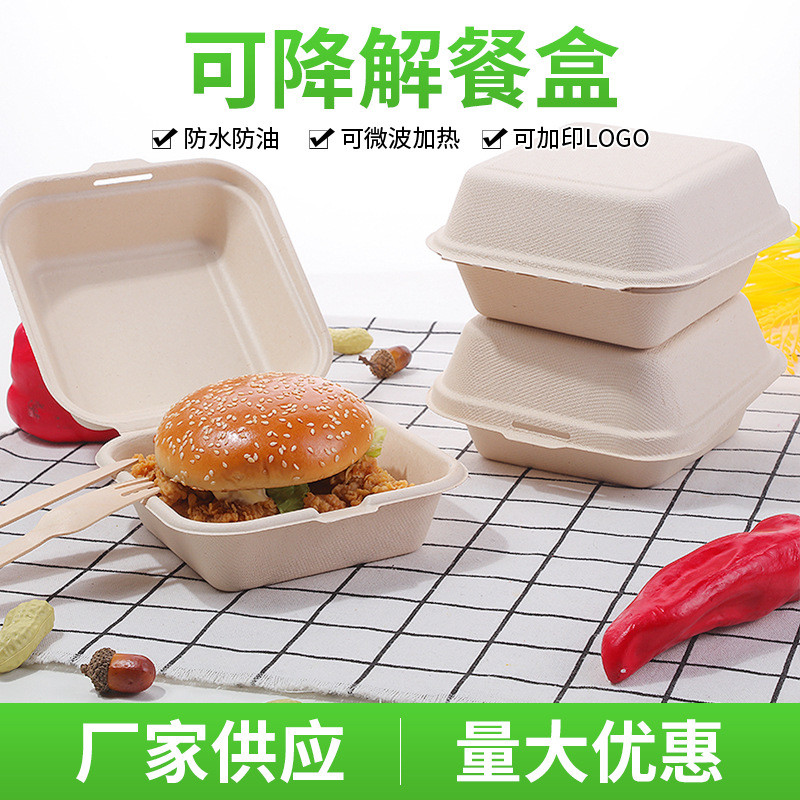 Disposable Lunch Box Influencer Cake Box Hand-Painted Sugarcane Pulp ...