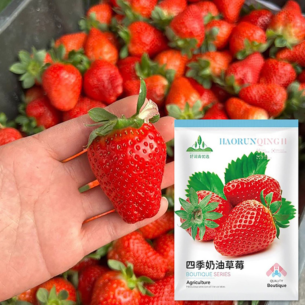 liquid plant fertilizer Root Starter Fertilizer 5-15-5