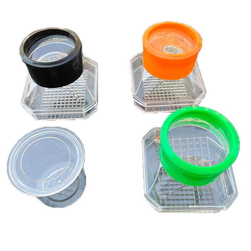 Insect Collection Box Insect Observation Box Magnifying Glass Breeding ...