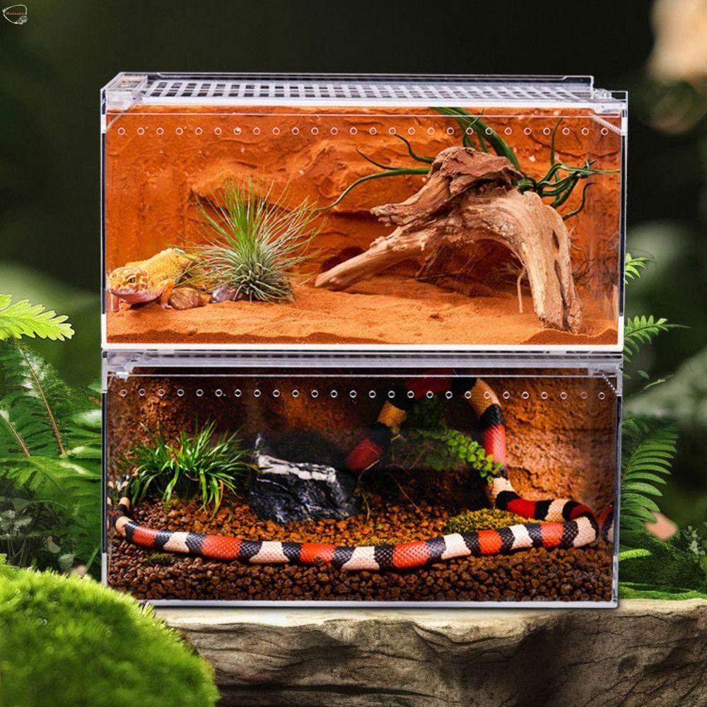 MXBEAUTY Reptile Breeding Box, Transparent Acrylic Lizard Terrarium ...