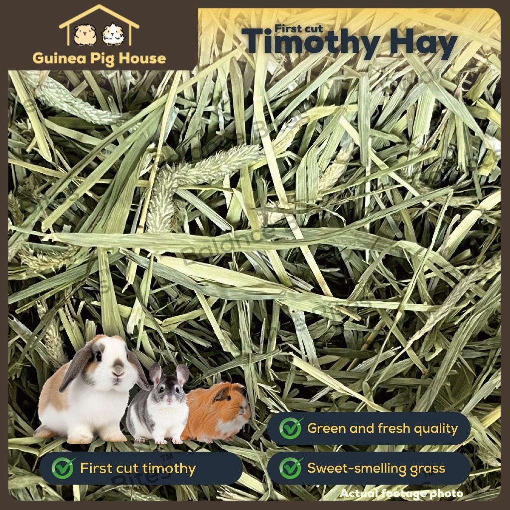 Balance Bites Timothy Hay USA 1KG Fresh Timothy Hay Guinae Pig Rabbit ...