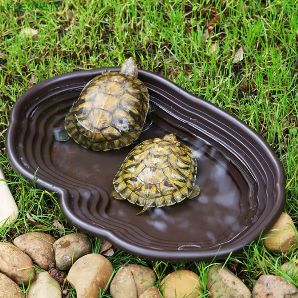 thumbnail image 2 of 3pcs Reptile Food & Water Bowls With Ramp - Tortoise, Turtle Feeding & Bathing Set 2 of 11