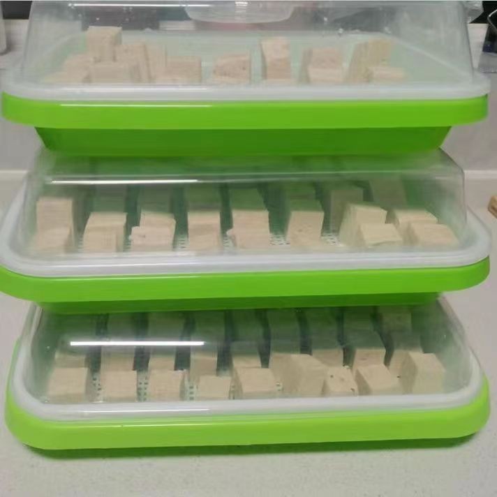 Fermentation Dedicated Plate Long-Haired Molded Bean Curd Koji Hair ...