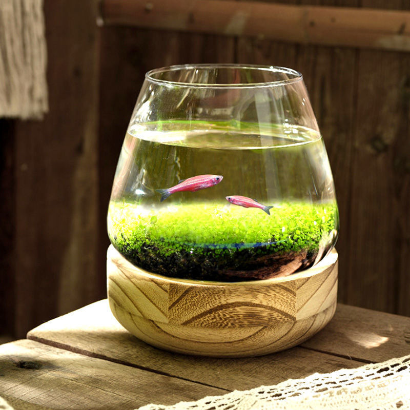 Curated visual reference: Gallery Detail: Official Creative Round Glass Goldfish Tank Living Room Office Desktop