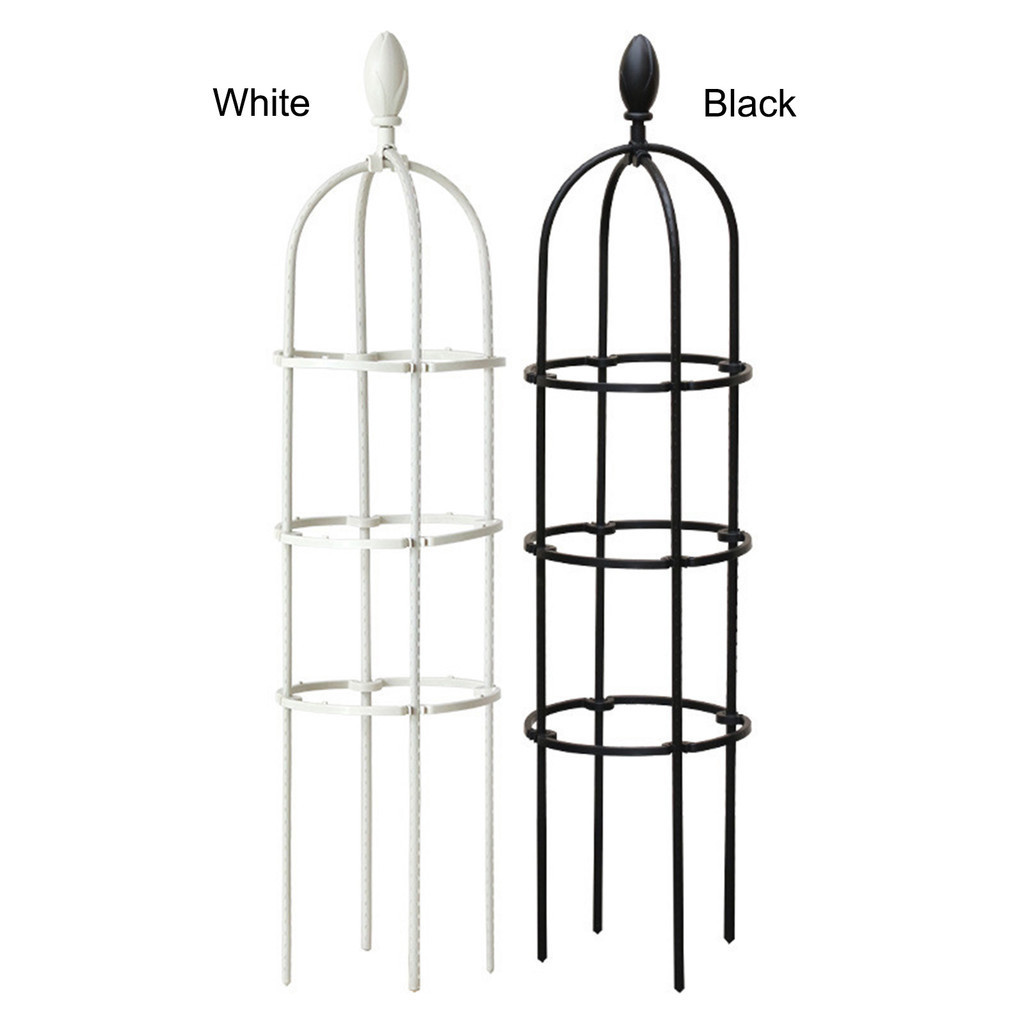 Planting Support Frame Rose Trellis Horticultural Climbing Vine Garden ...