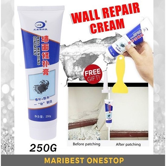 250g Waterproof Wall Repair Cream Instant Repair Paste Professional Gaps Wall Mending Agent Wall Shedding Repair Home | Shopee Malaysia