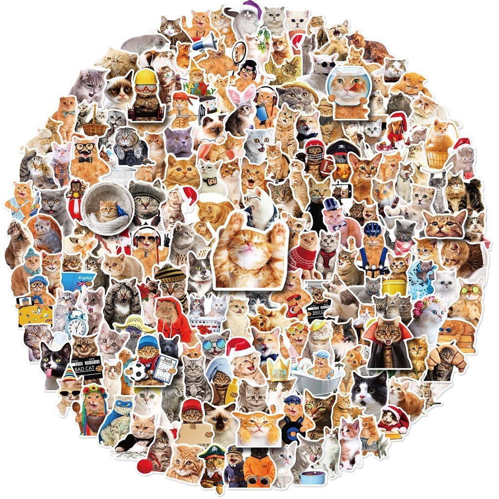 200/100/50PCS Cute Realistic Kitten Waterproof Graffiti Stickers for ...