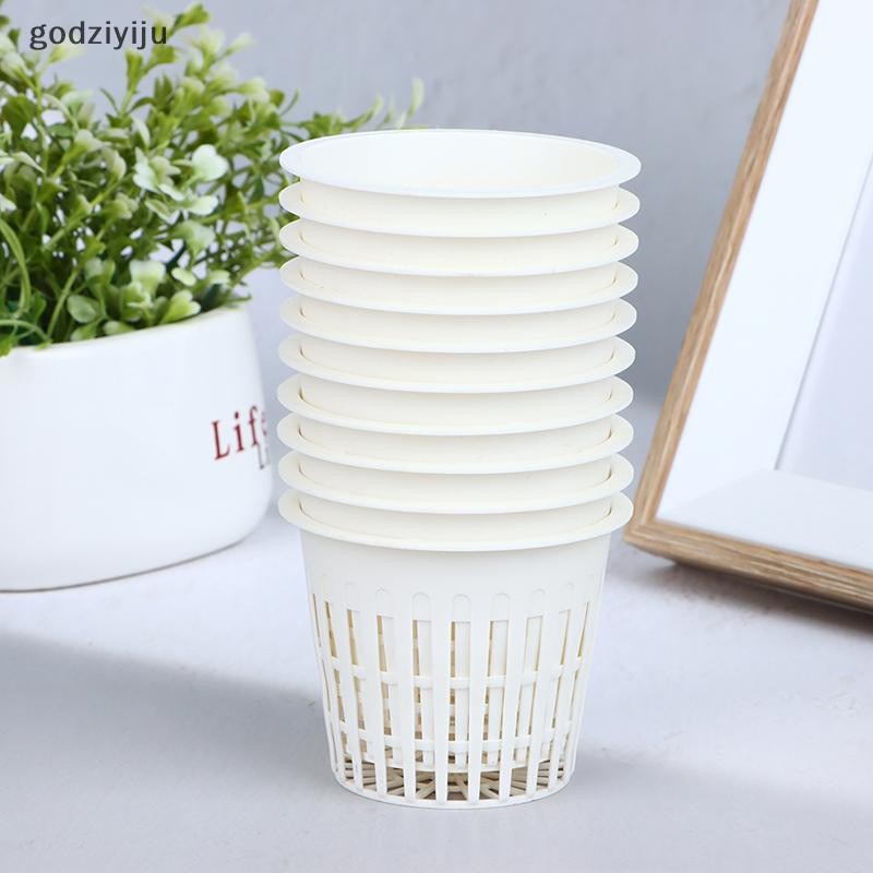 godziyiju 10Pcs 2 Inch 3 Inch Grow Orchids Hydroponics Cups Planting ...
