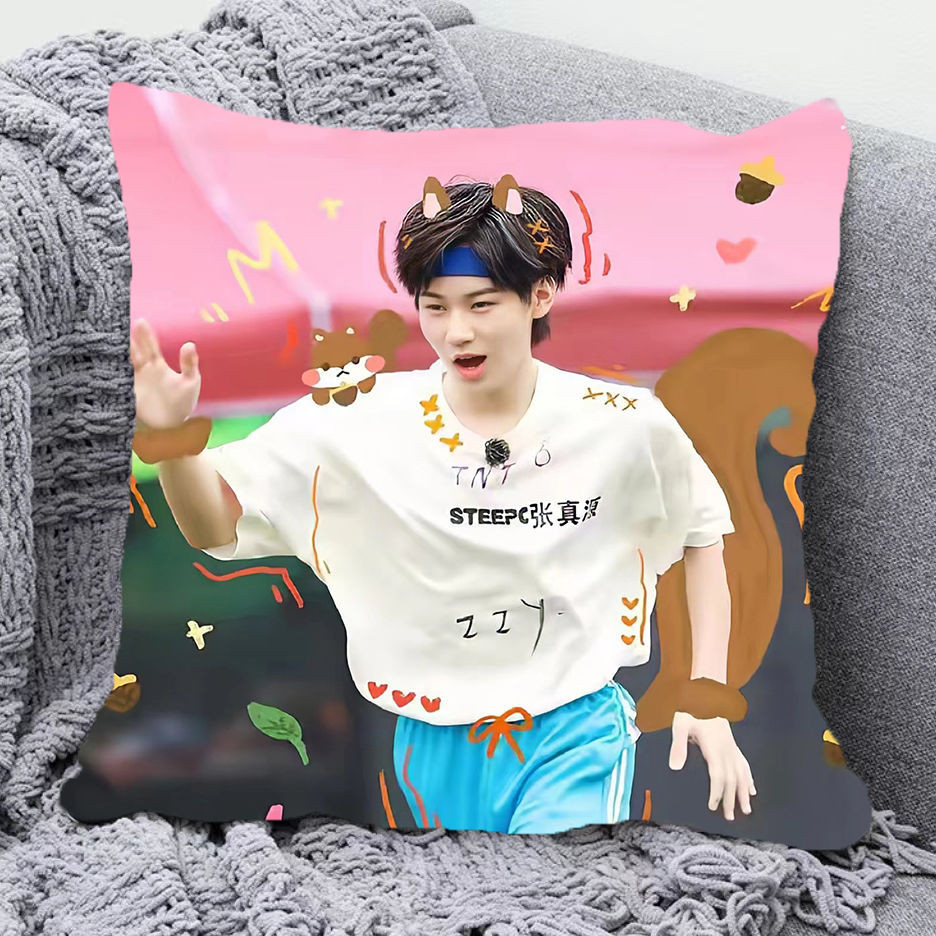 Idol perimeter 偶像周边张真源抱枕TNT时代少年团明星枕头沙发