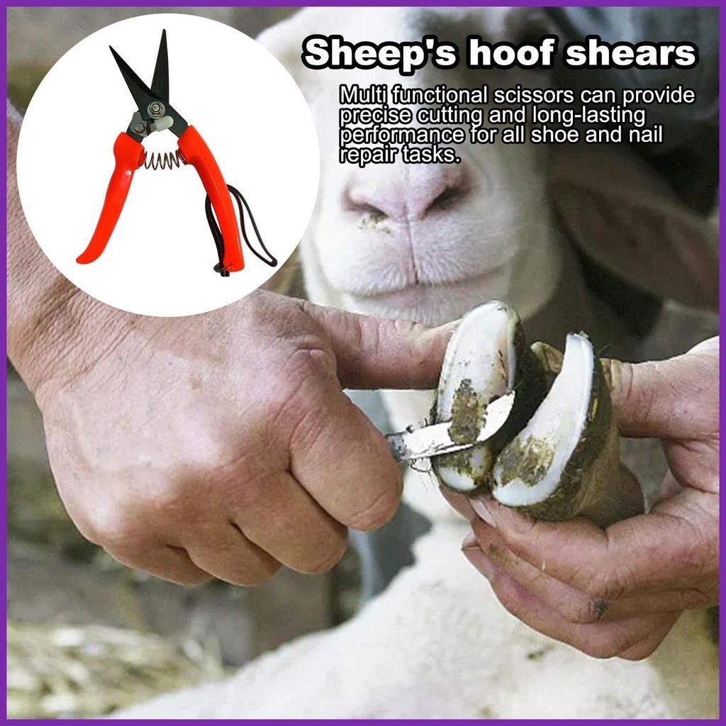 Hoof Trimmers for Goats Ergonomic Sheep Hoof Shears SpringLoaded Horse
