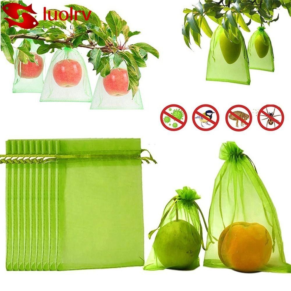 LUOLRV 30Pcs Fruit Bags Insect Proof Garden Tools Planter Grow Bags ...