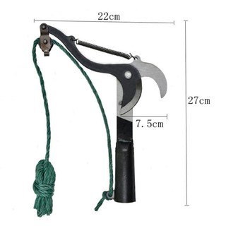 Rambutan Cutter Tree Pruner Trimmer Shear Rambutan Shear Gunting kait ...