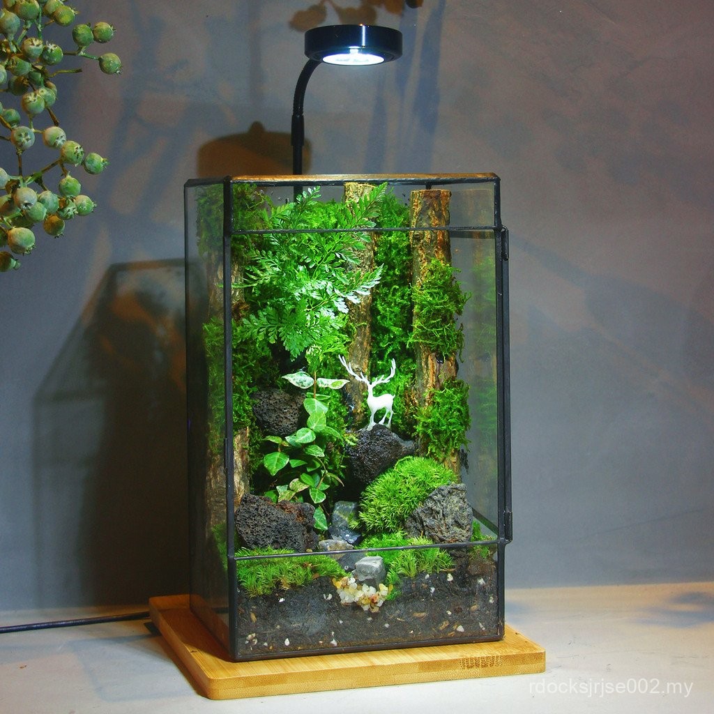 Creative Moss Micro Landscape Forest Landscaping Finished Product ...