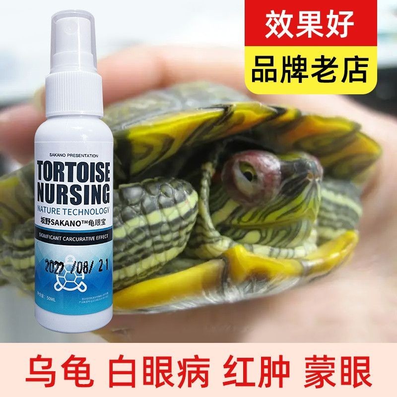 Turtle Supplies White Eye Disease Cold Pneumonia Corrugated Skin ...