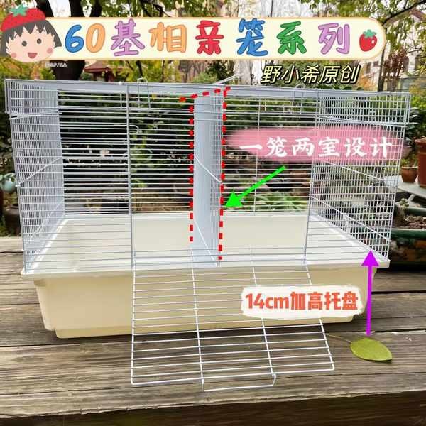 Photo inspiration: Visual Reference: Rumah Hamster Hamster House 60 Base Blind Date Nude Cage