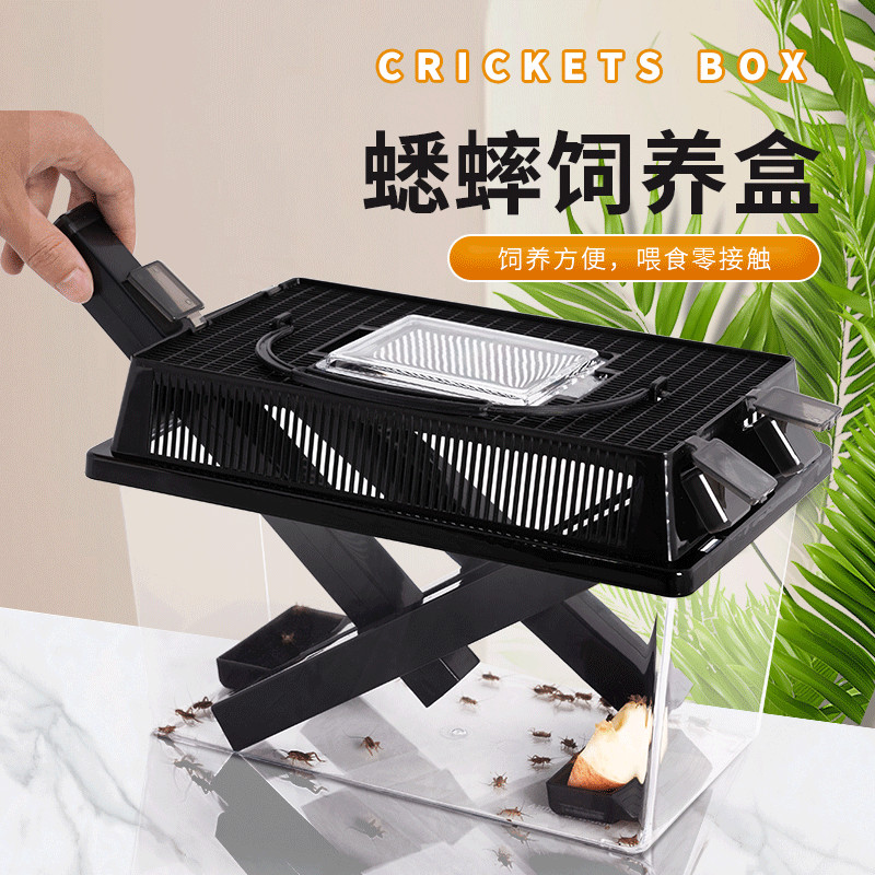 Fresh Look at Cricket Breeding Box Breathable Anti Escape Dubia Cockroach Breeding