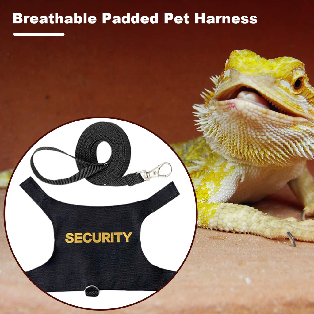 greensea Chameleon Leash with Soft Padding Breathable Padded Pet Harness Adjustable Reptile Leash Harness for Bearded Dragons Secure and Easy Wear