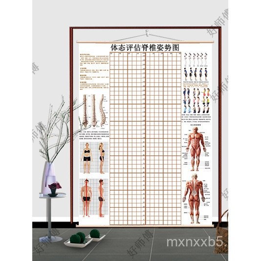 Ready Stock Posture Assessment Map Yoga Posture Posture Assessment ...