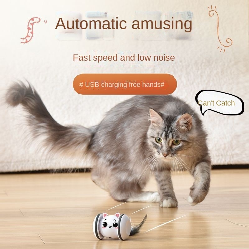 [In stock] New smart Trotting wheel feather automatic cat toy, bite ...