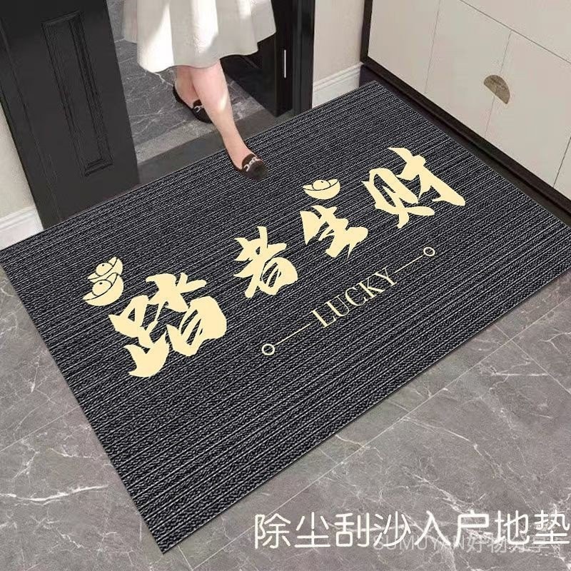 地垫 mat 玄关 地垫 防滑 加厚地毯 简约玄关门垫家用入户除尘蹭灰防滑地垫踏者生财脚垫易清洗可Anti slip thickened ...
