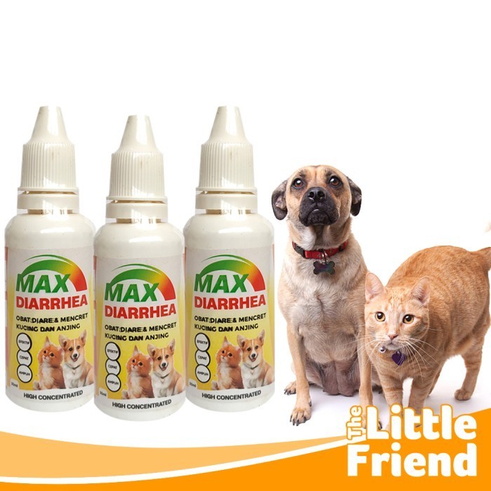 Max DIARRHEA Medicine For Cat DIARRHEA Cat Picking Dogs 30ml Shopee