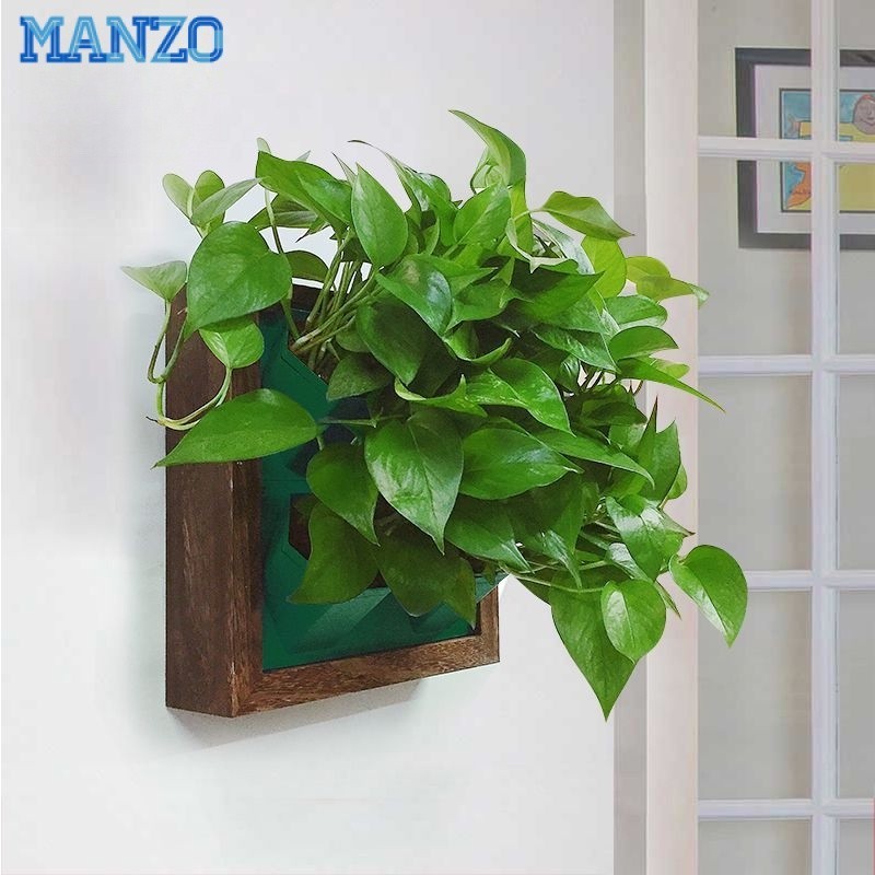 Wall-mounted Plant Rack - Succulents And Pothos Are Planted On The Wall ...