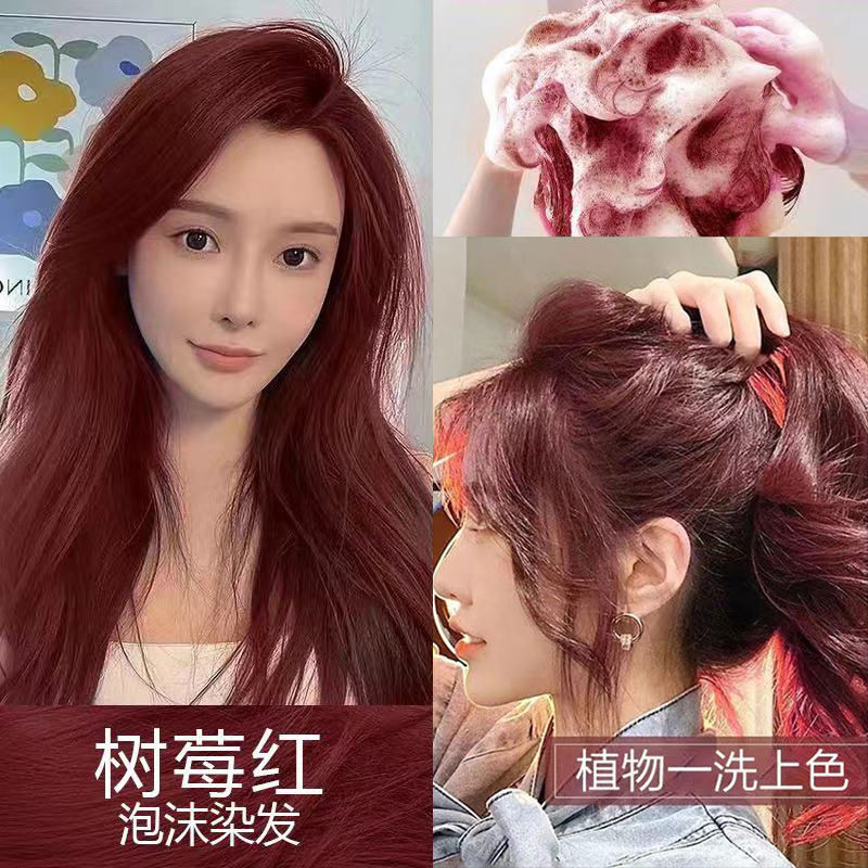 Plant Bubble Hair Dye Cream 2024 Popular Color Raspberry Red Student